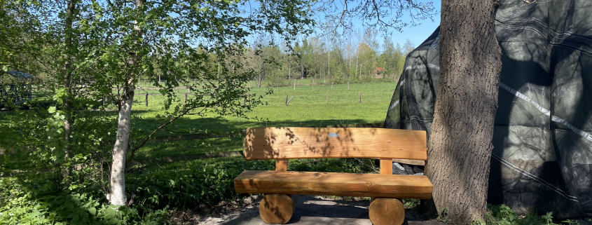 Neue Bänke im Tannenweg, Seemannsweg und an der Kreyenhooper Straße